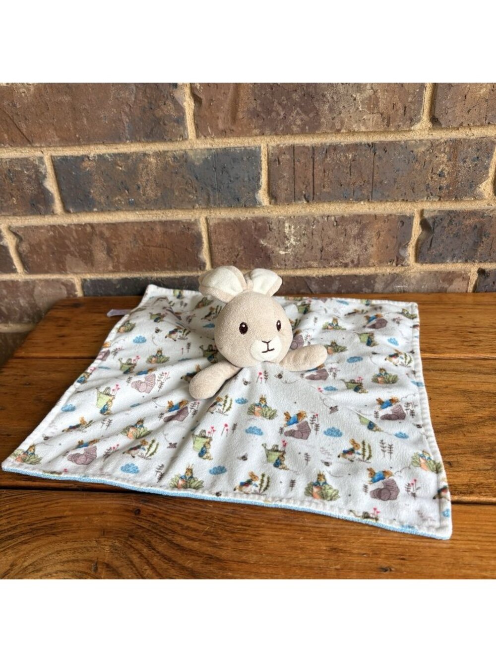 The World Of Beatrix Potter Peter Rabbit Lovey Security Blanket